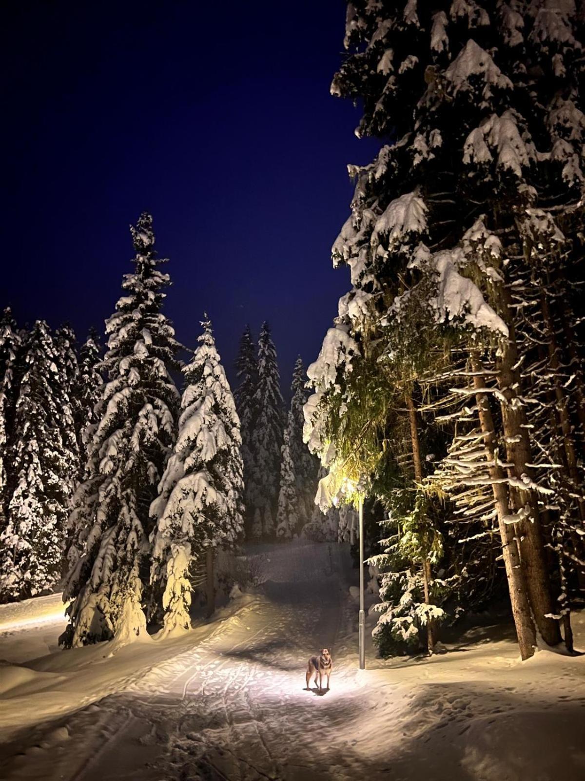 Alpine St-sigmund